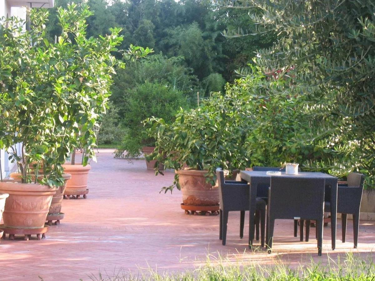 Al Melograno - Room & Breakfast Bologna Exteriör bild